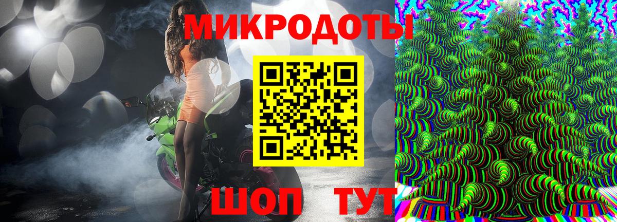 Псилоцибиновые грибы Psilocybe Комсомольск-на-Амуре